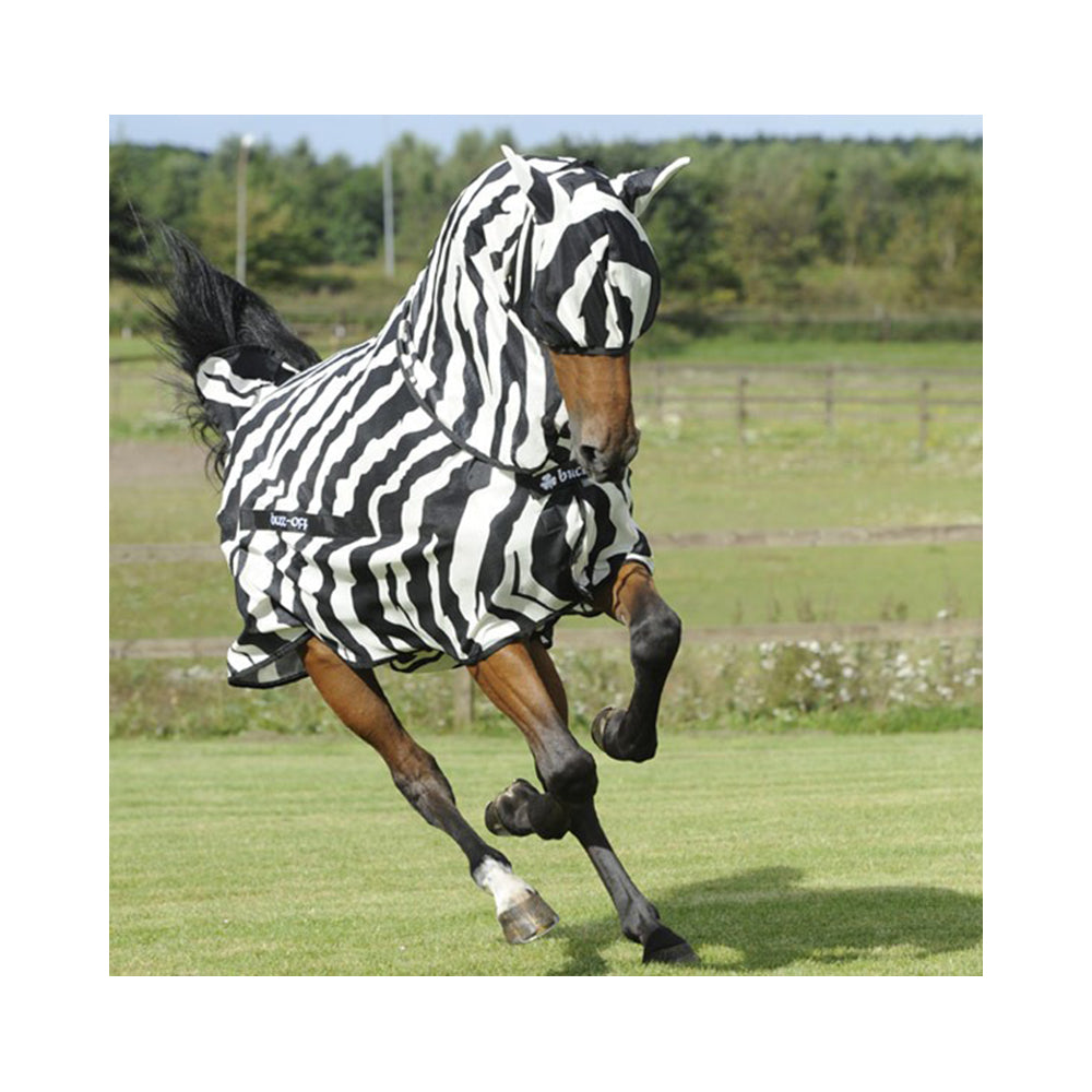 Hevonen zebra loimessa laitumella