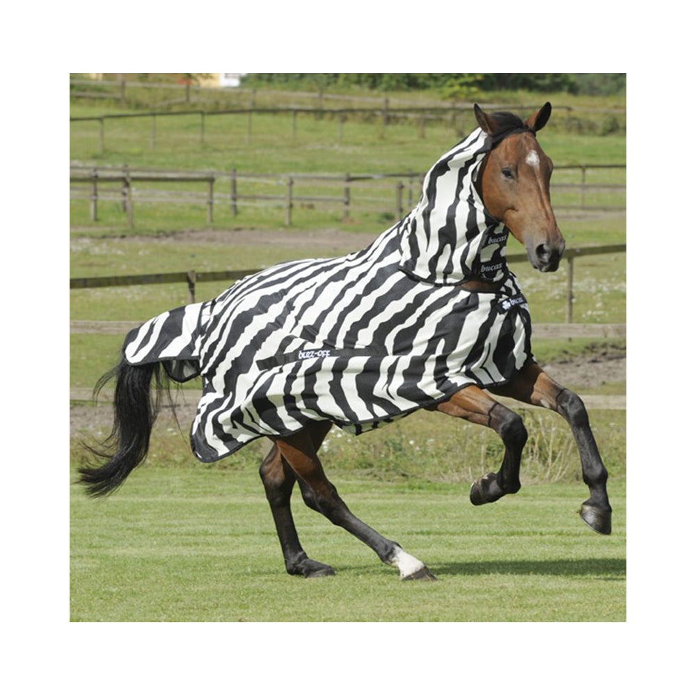 Hyönteisloimi kaulakappaleella zebra