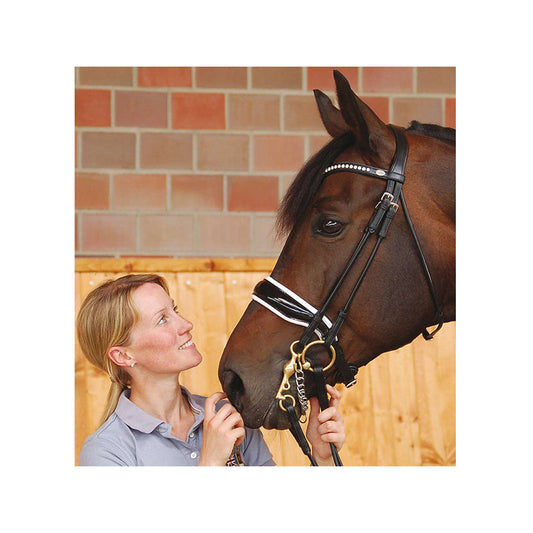 Dyon dressage pyöristetty kankisuitset lakatulla turparemmillä, valkoinen vuori