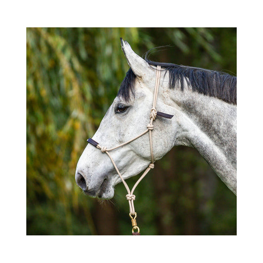 Dyón naruriimu LCC La Cense