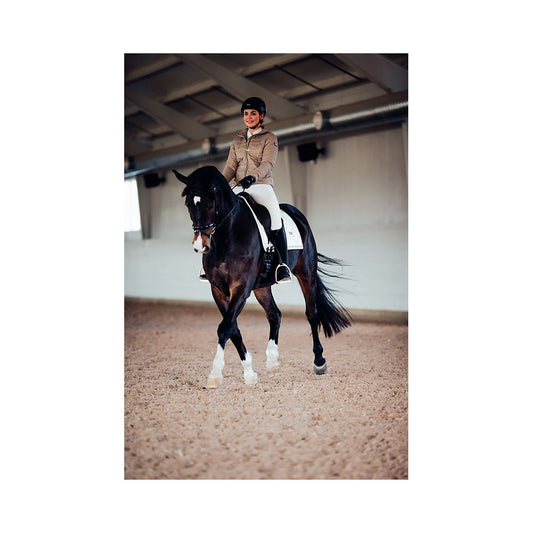 Equestrian Stockholm koulu huopa Kisahuopa