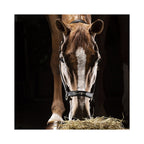 Equiline Timmy nailonriimu