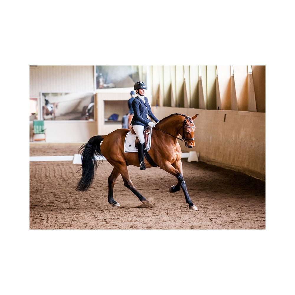 Equestrian Stockholm koulu huopa Kisahuopa