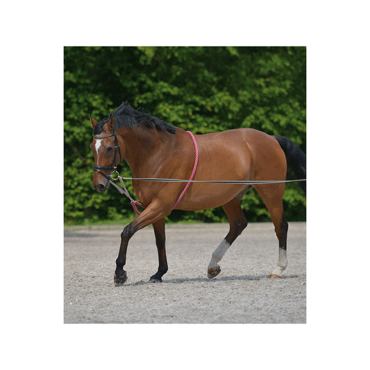 Juoksutusapuohjat Luning Aid