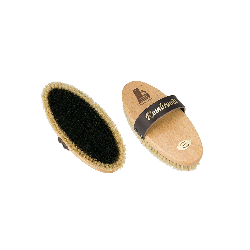 William Leistner Rembrandt